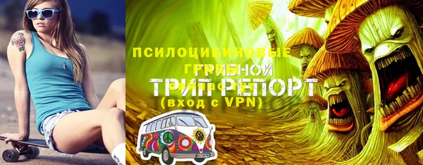 метадон Богданович